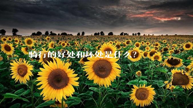 骑行的好处和坏处是什么？