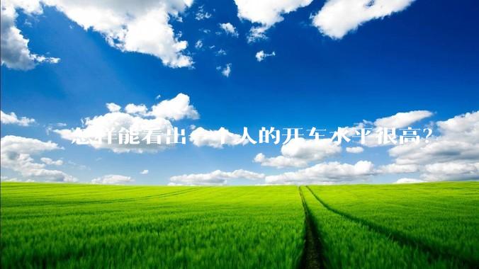 怎样能看出一个人的开车水平很高？