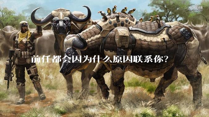 前任都会因为什么原因联系你？