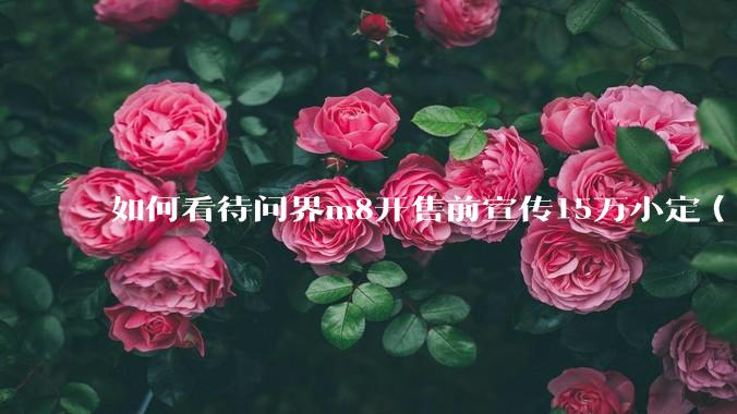 如何看待问界m8开售前宣传15万小定（一个月权益期），实际24小时大定只有3.2万（一天21%）?