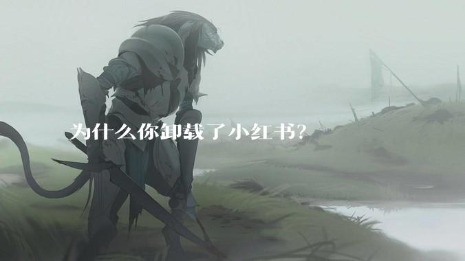 为什么你卸载了小红书？