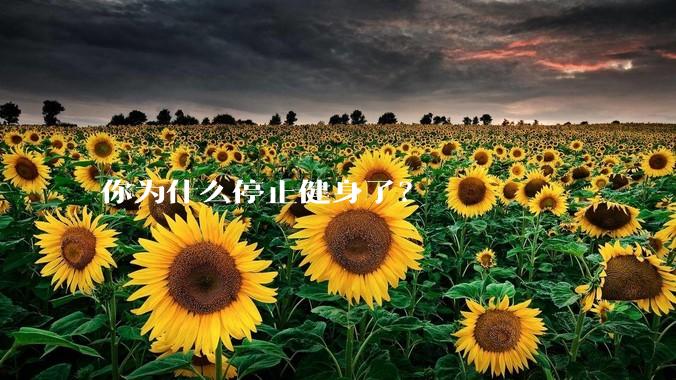 你为什么停止健身了？