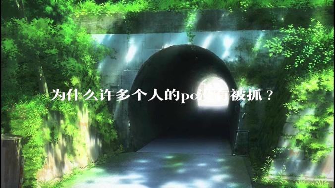 为什么许多个人的pc没有被抓?
