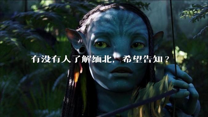 有没有人了解缅北，希望告知?