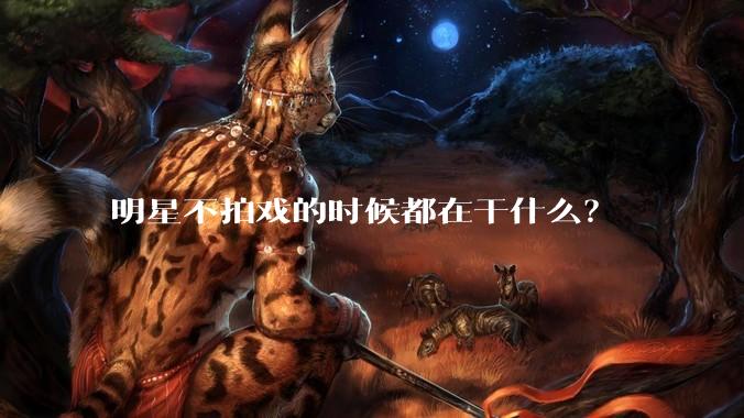 明星不拍戏的时候都在干什么？