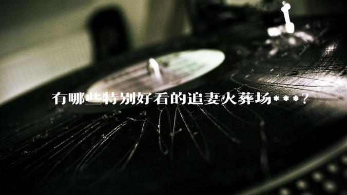 有哪些特别好看的追妻火葬场***？